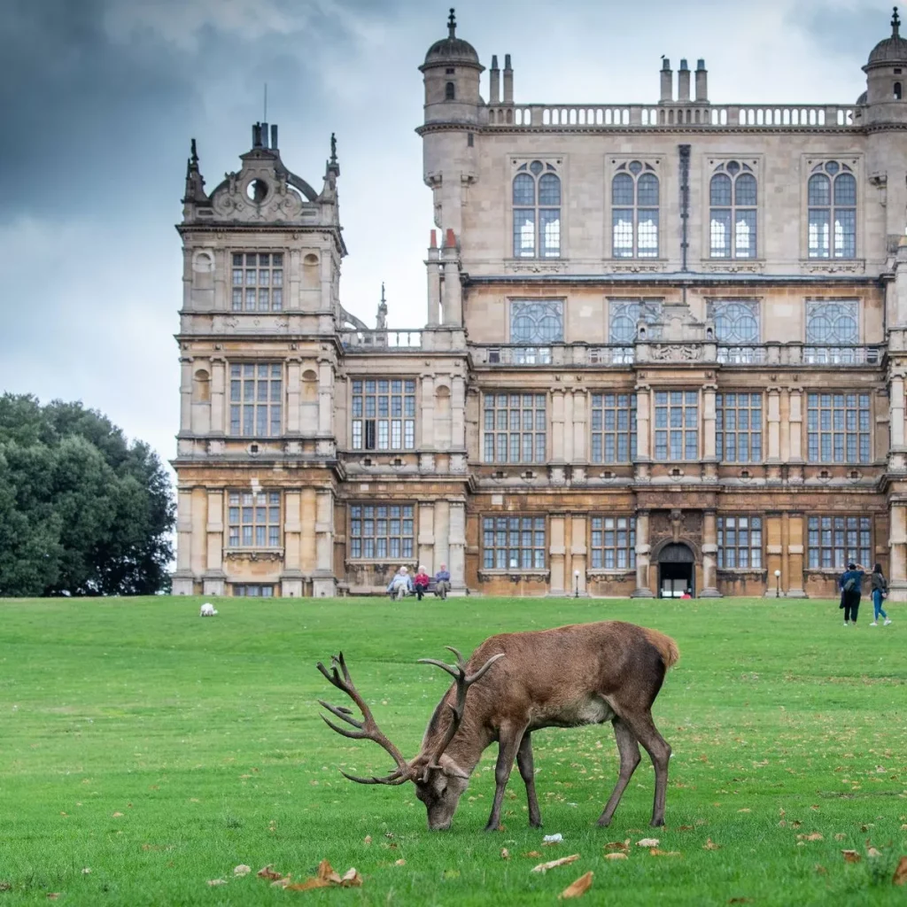 Wollaton, Nottingham, UK