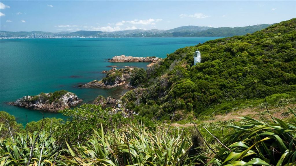 Matiu/Somes Island wellington