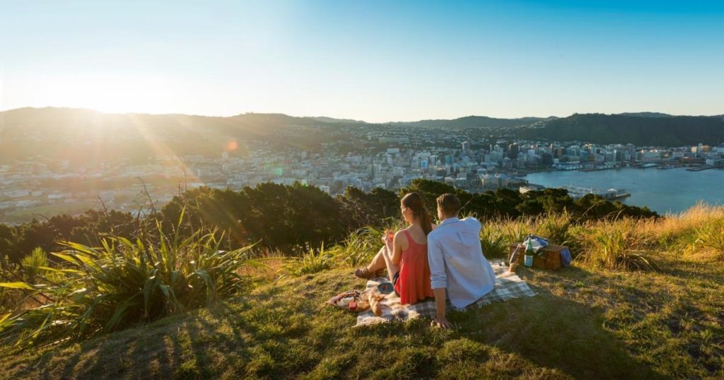 mount victoria lookout wellington