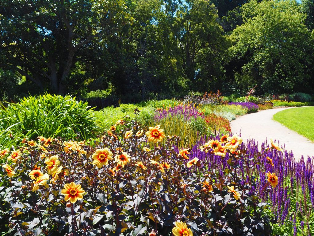 spring melbourne gardens