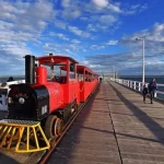 Living in Perth: A Guide to Transport