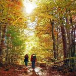 two together railcard review