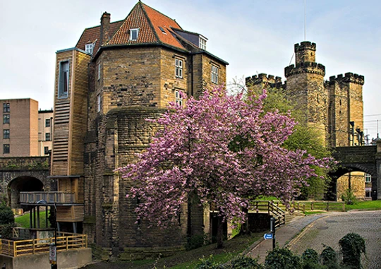 Newcastle Castle, things to do in Newcastle city centre