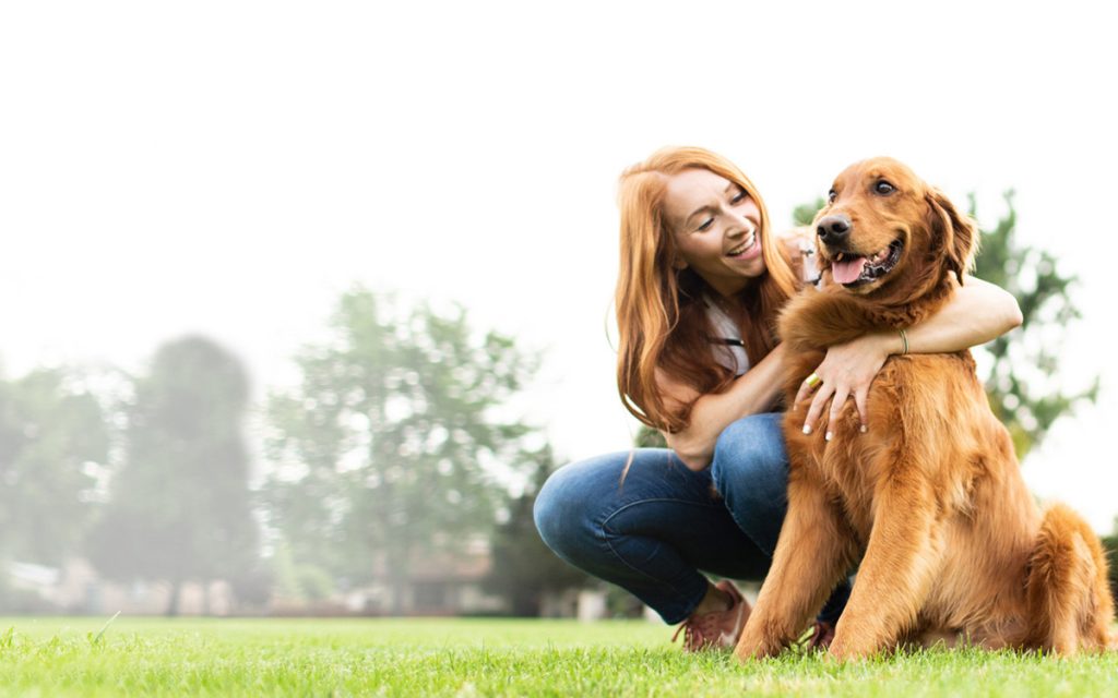 best pet health insurance