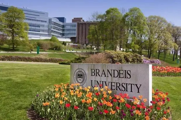 housing around Brandeis University