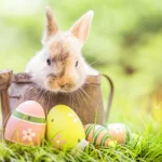 Easter Sunday