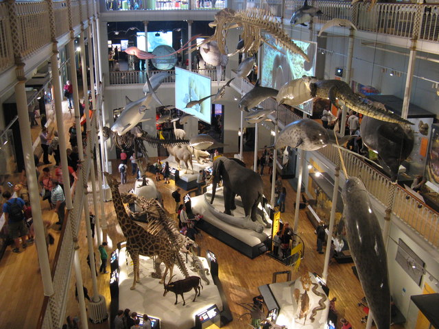 National Museum of Scotland