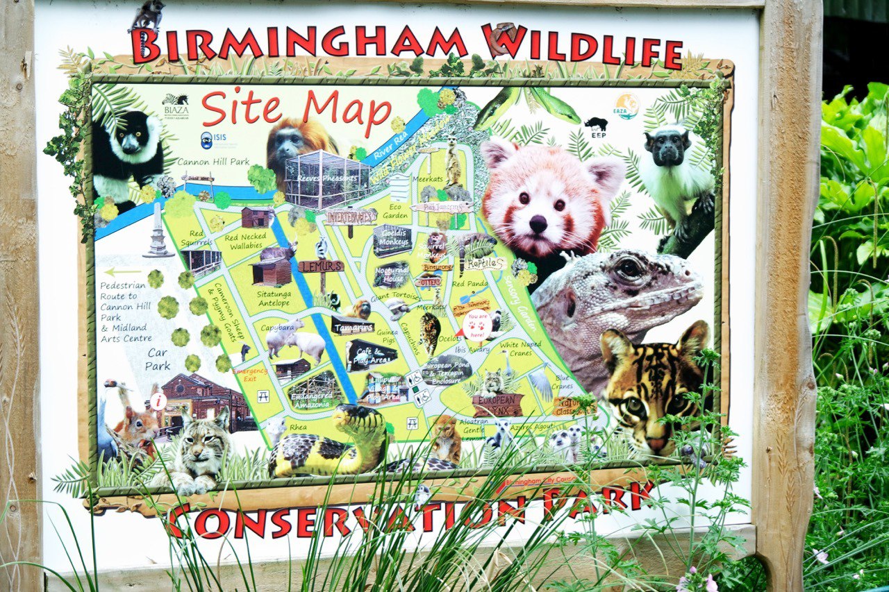 places in birmingham to go