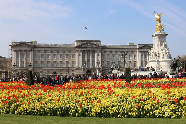 london tour: Buckingham Palace