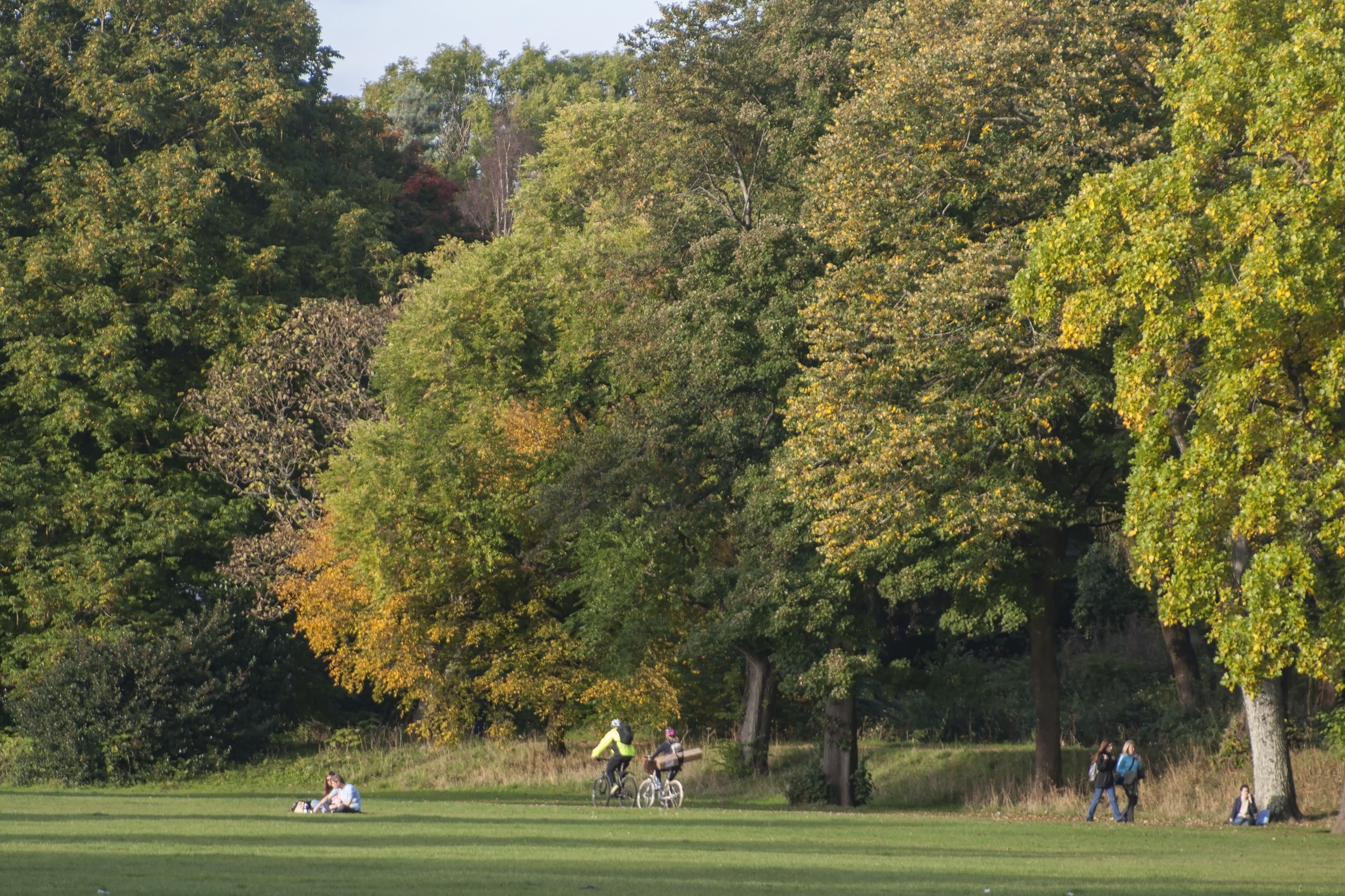 best things to do in cardiff bute park