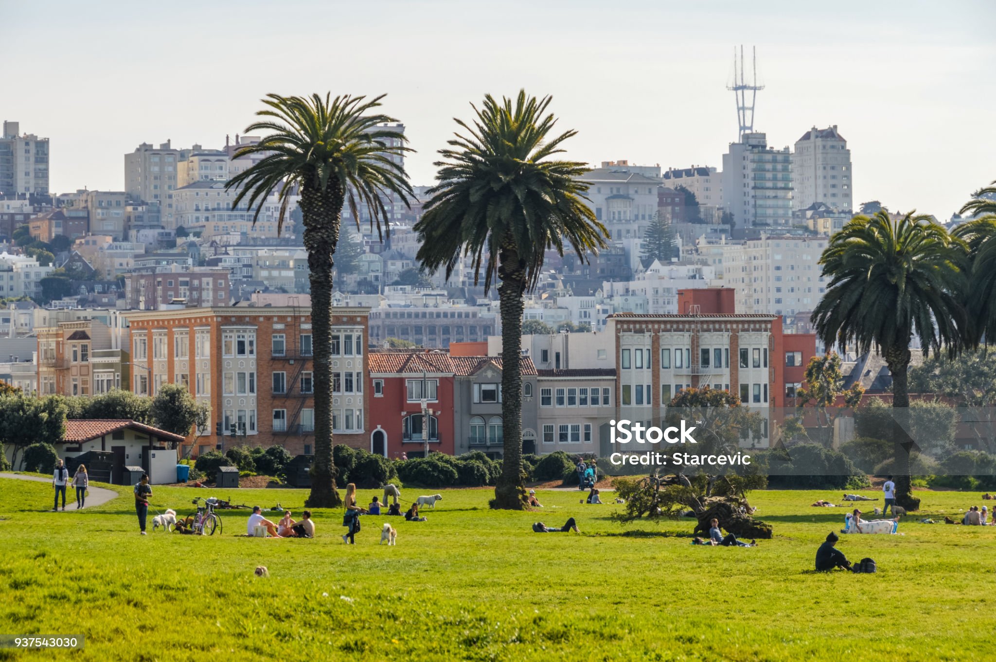 best neighborhoods in san francisco