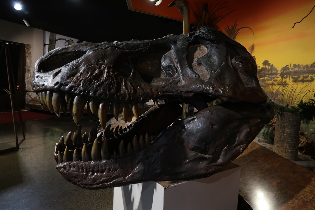 free things to do in Fernbank Science Center atlanta