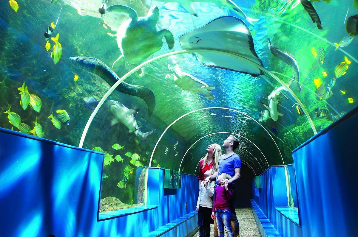 places to visit in bournemouth: oceanarium