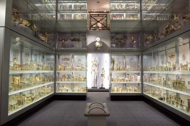 Hunterian Museum