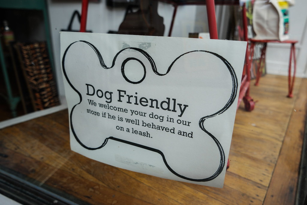 dog friendly coffee shop