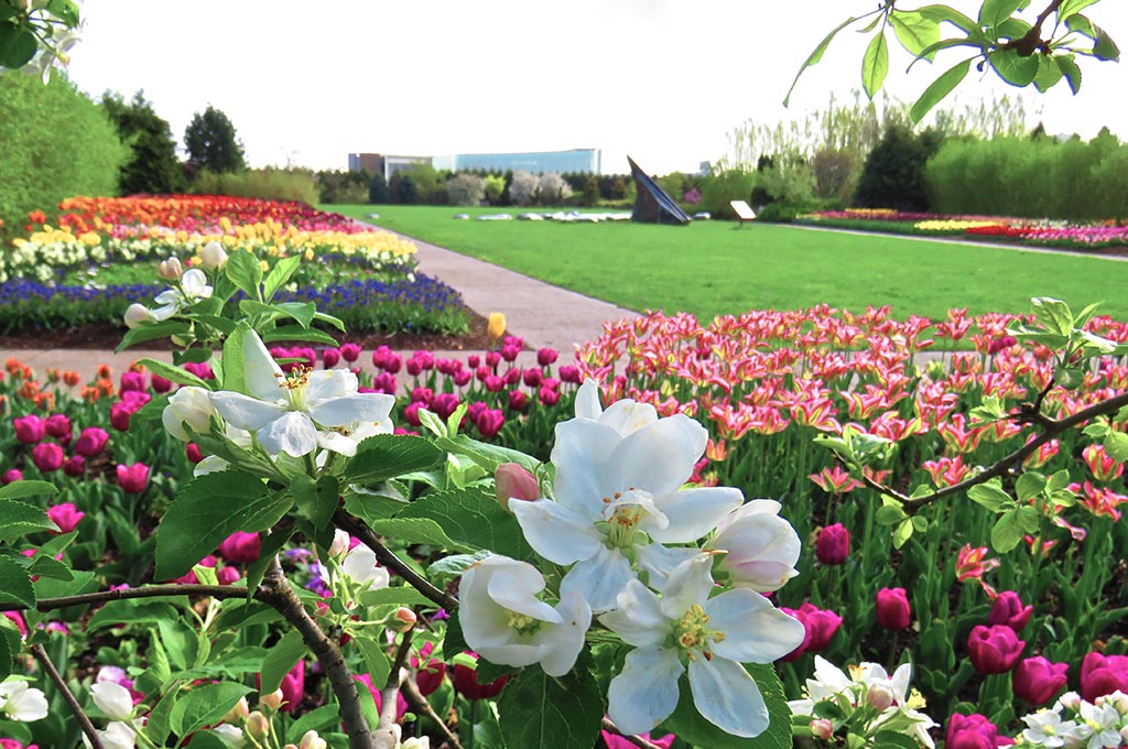 The Arboretum at Penn State