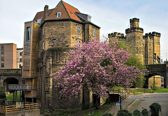 Newcastle Castle