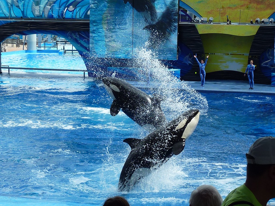 seaworld park