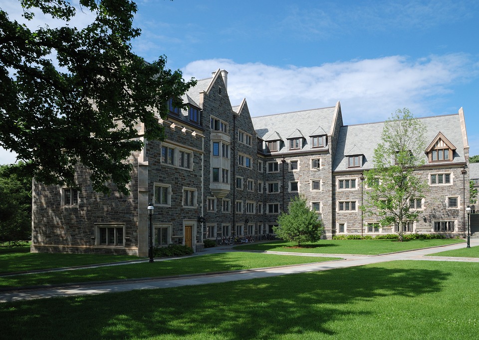 princeton university