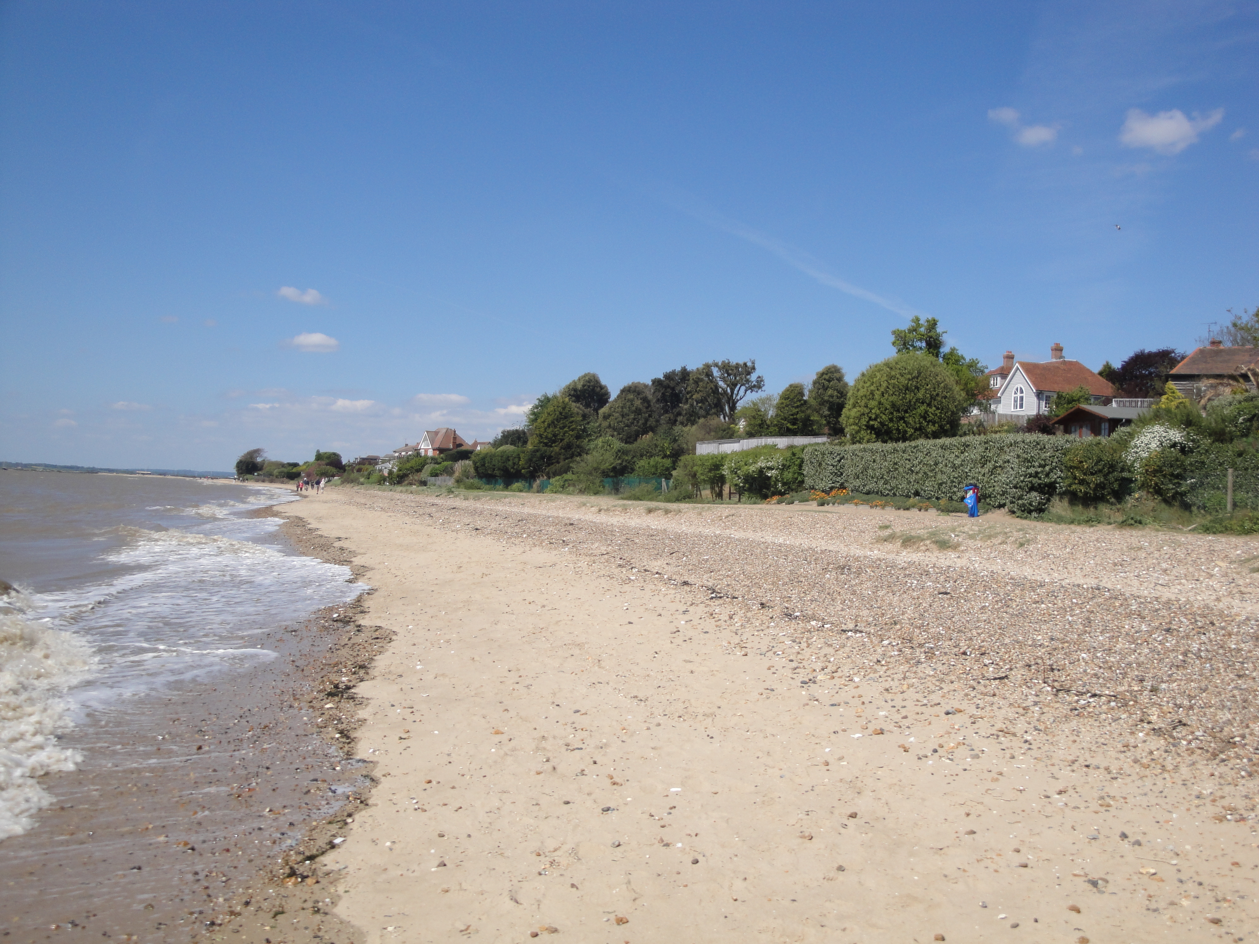 mersea-island