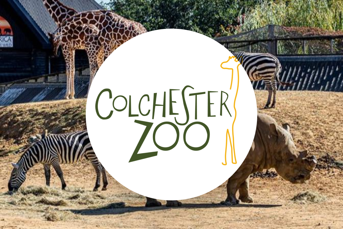 colchester-zoo