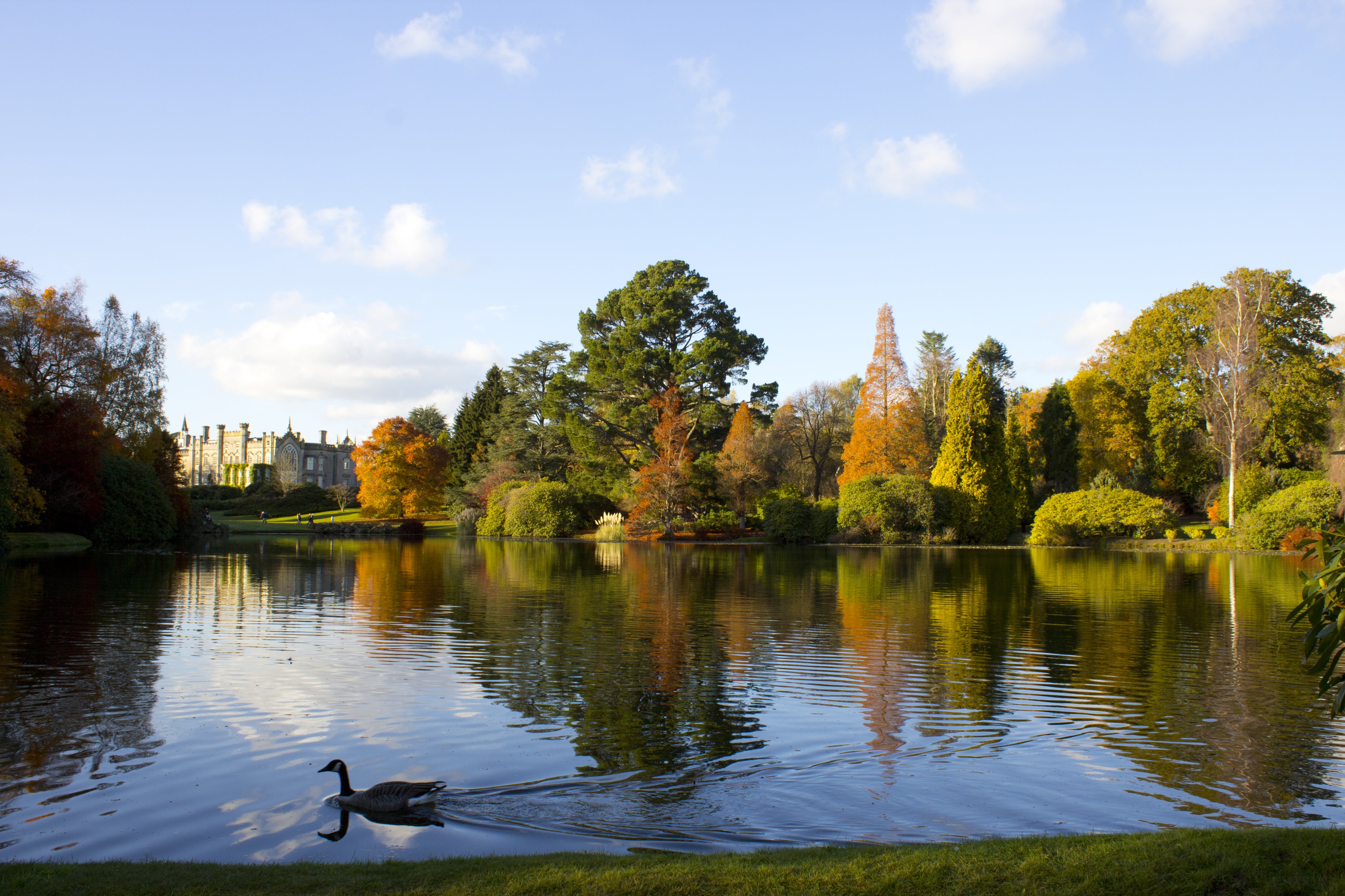 sheffield-park