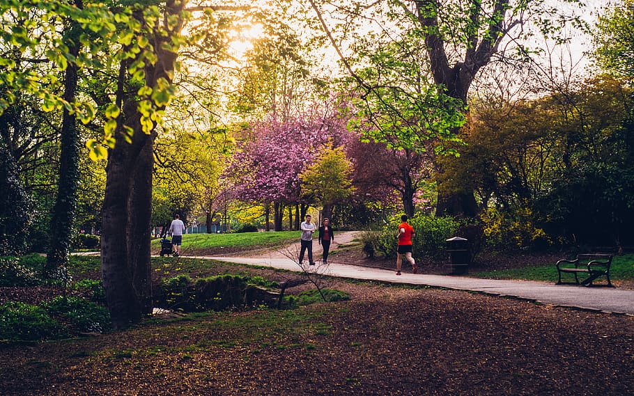 sheffield-park-people