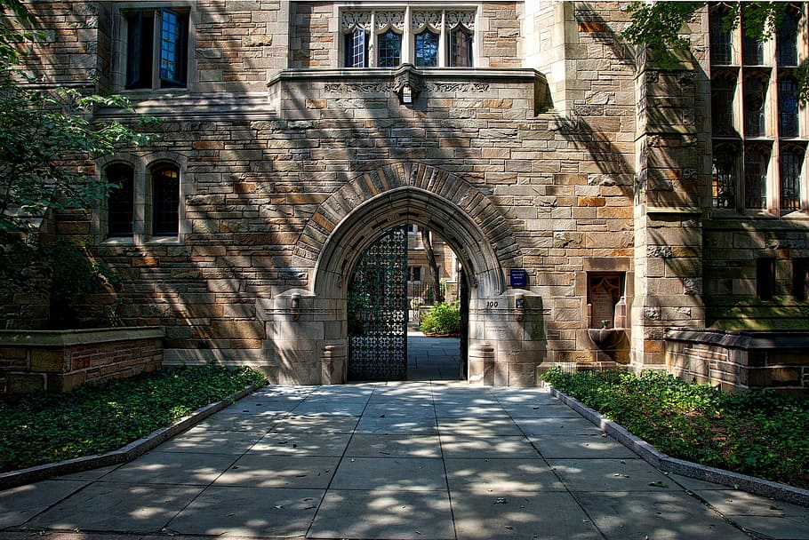 ivy-league-school