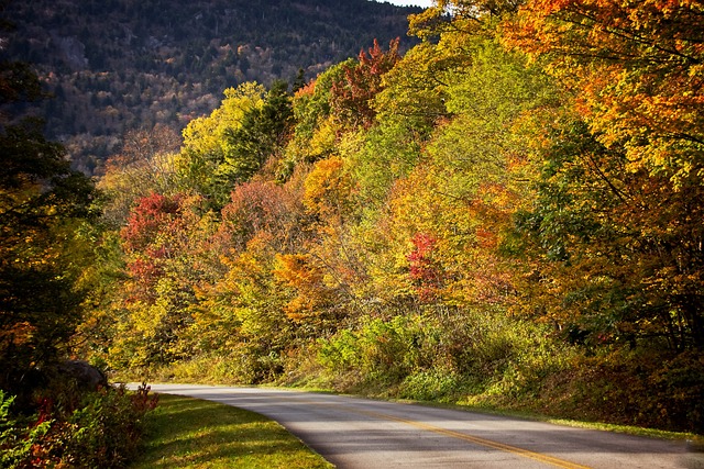 best road trips in usa