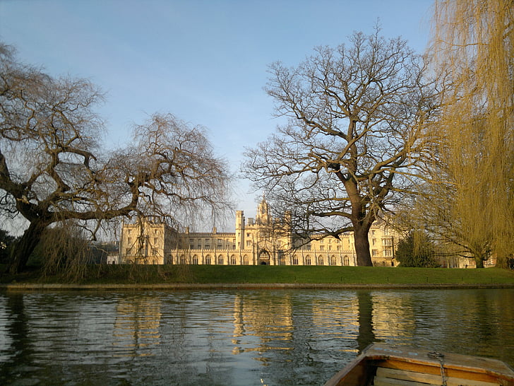 cambridge university