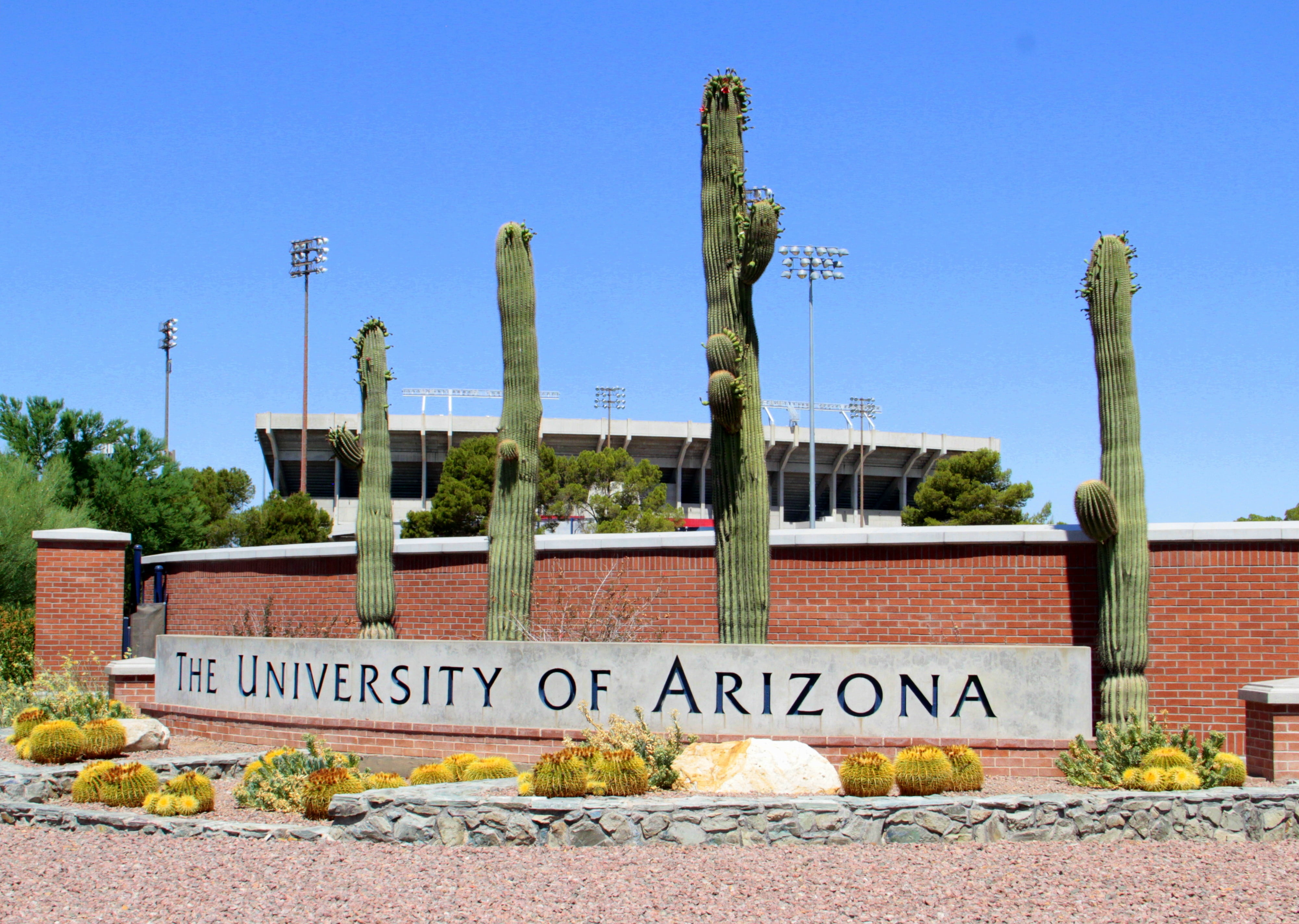 university-of-arizona