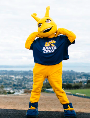 UCSC-banana-slug