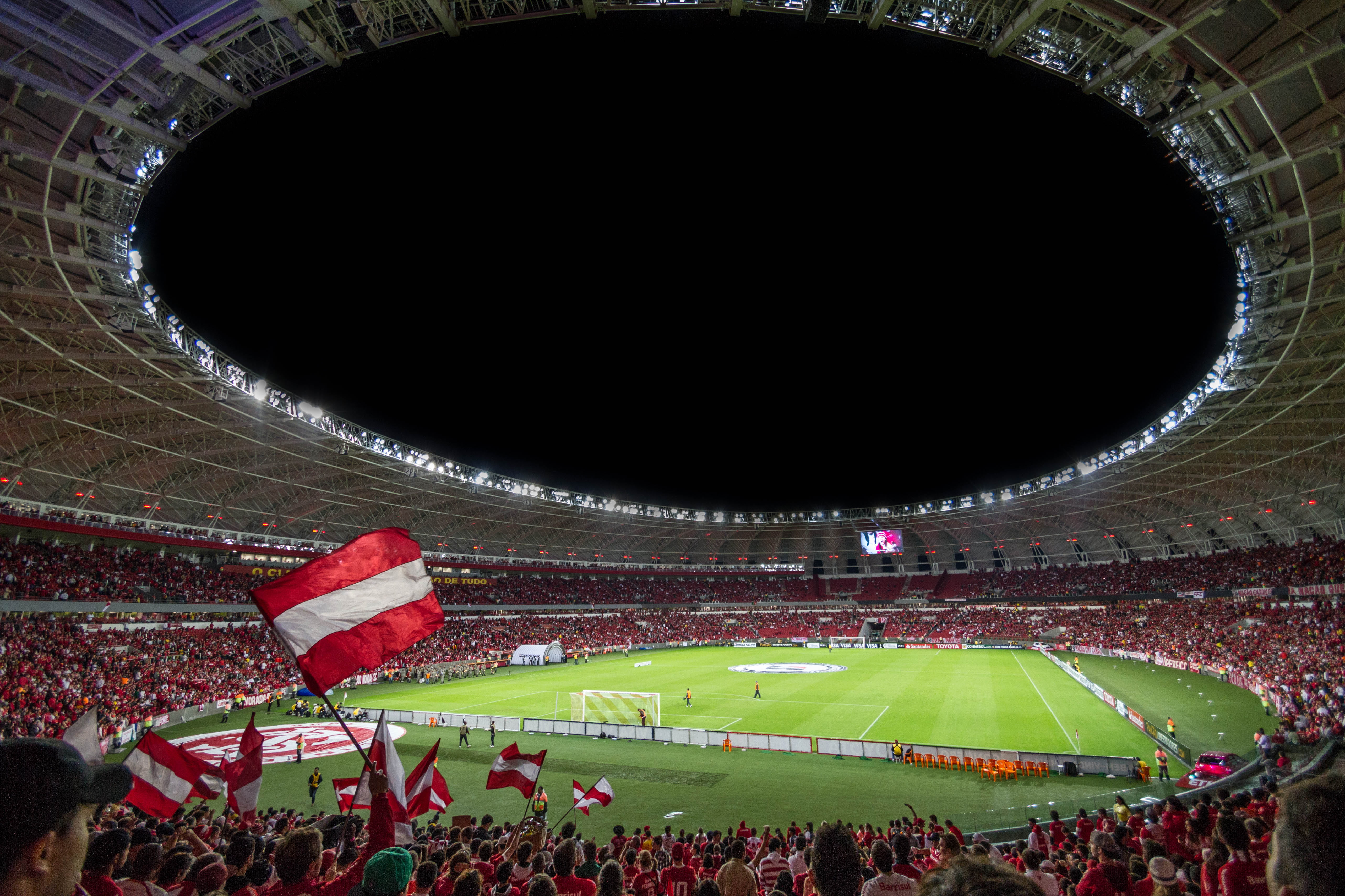 people-flag-cheer-soccer-game