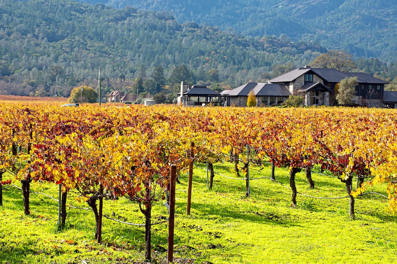 best places to visit in october usa napa valley