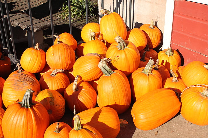 pick-pumpkins