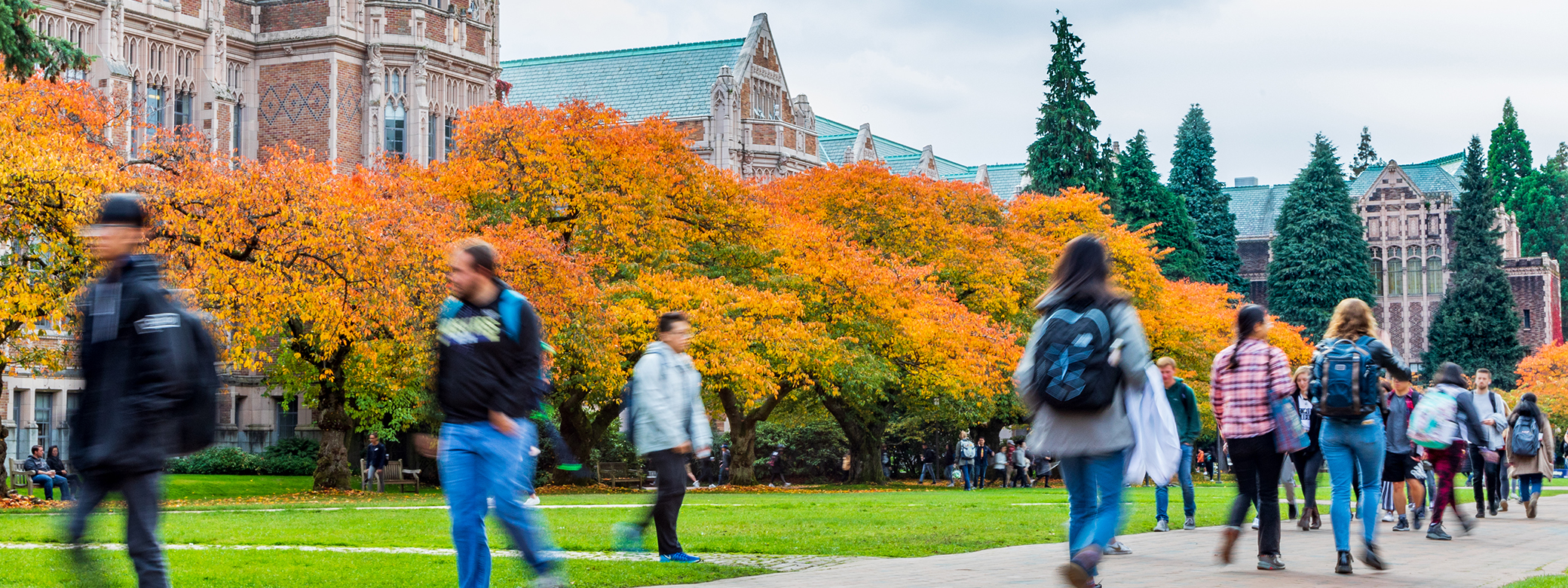 university of washington campus