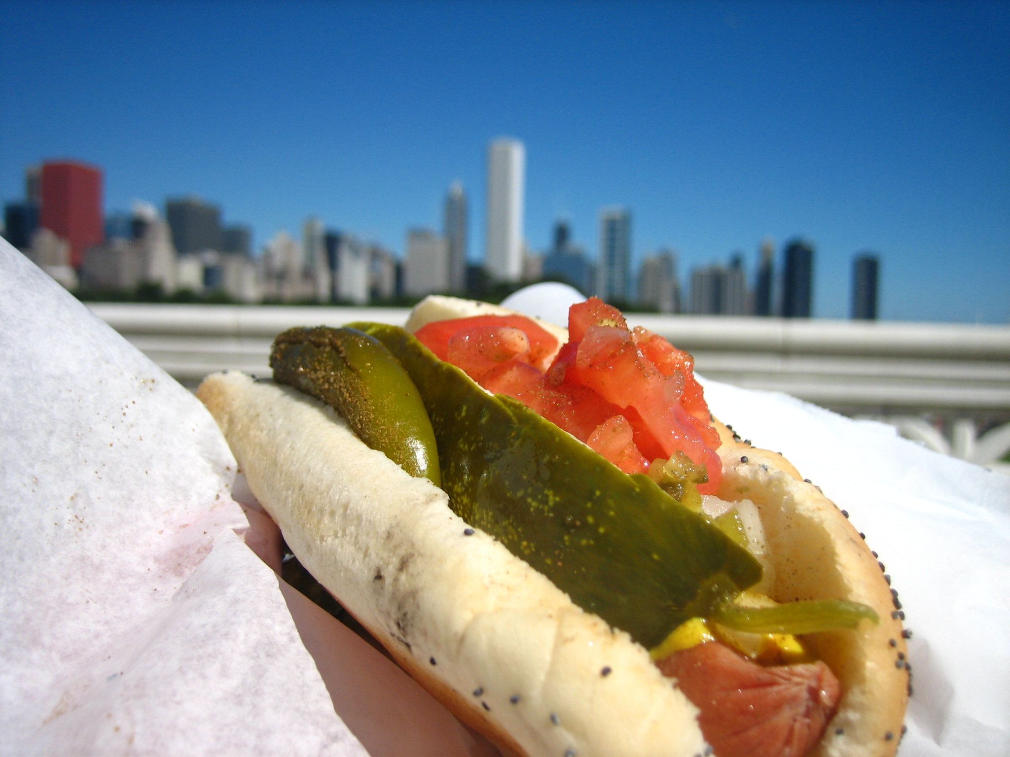 Chicago hotdog