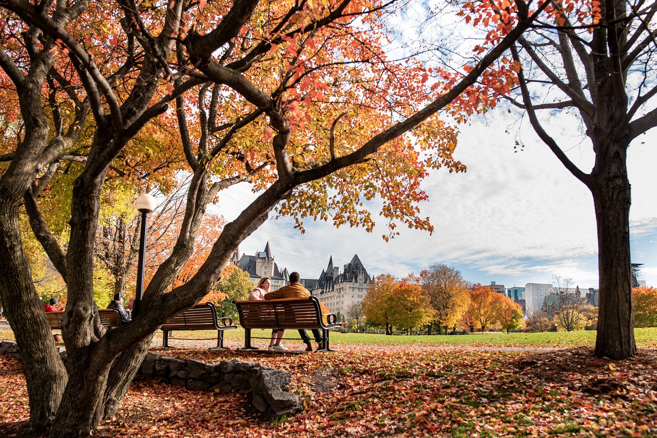 vancouver vs toronto maple leaf