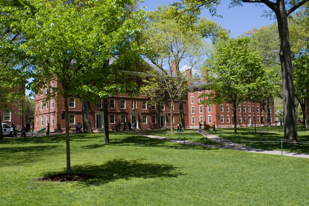 Harvard University