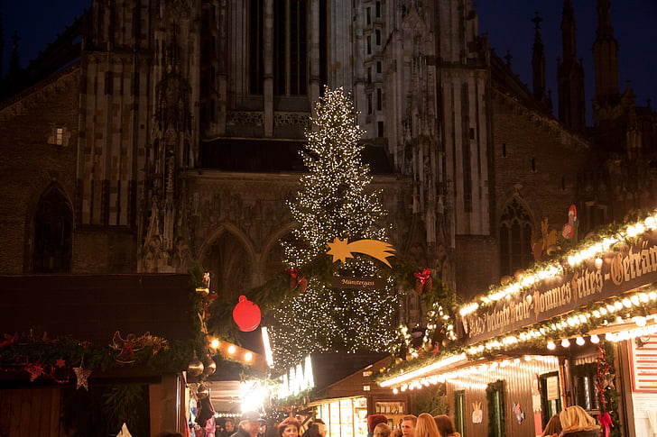 christmas-market-fir-christmas-tree-light