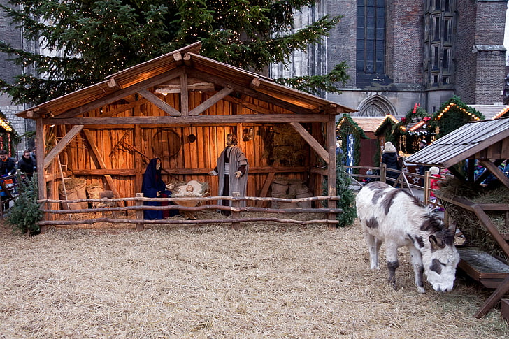 christmas-market-stall-donkey-crib