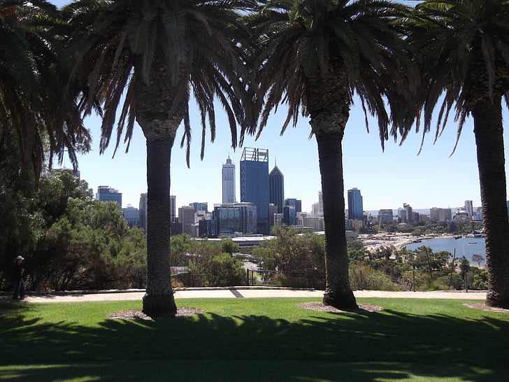 perth-city-trees-australia