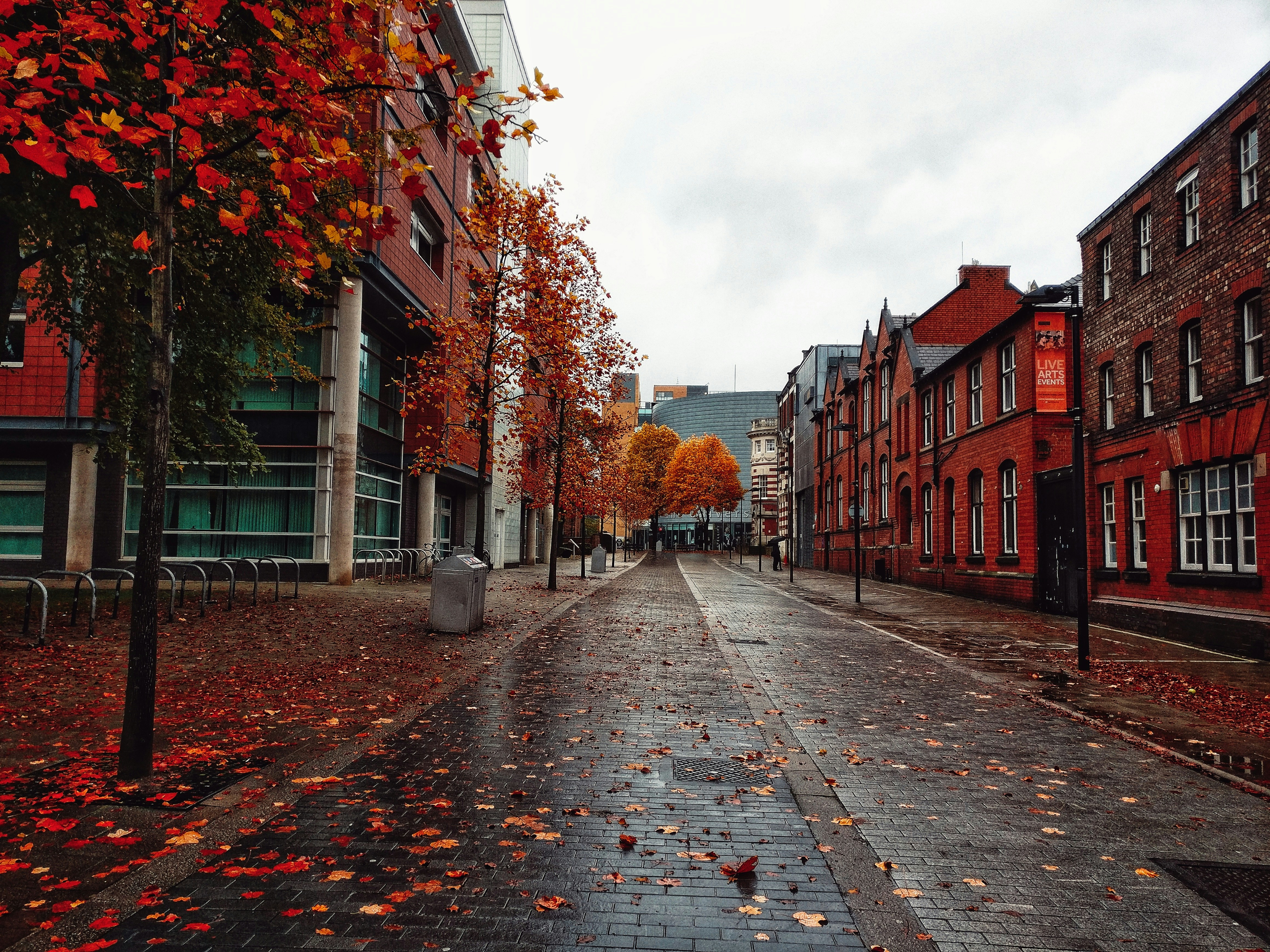 university of manchester acceptance rate