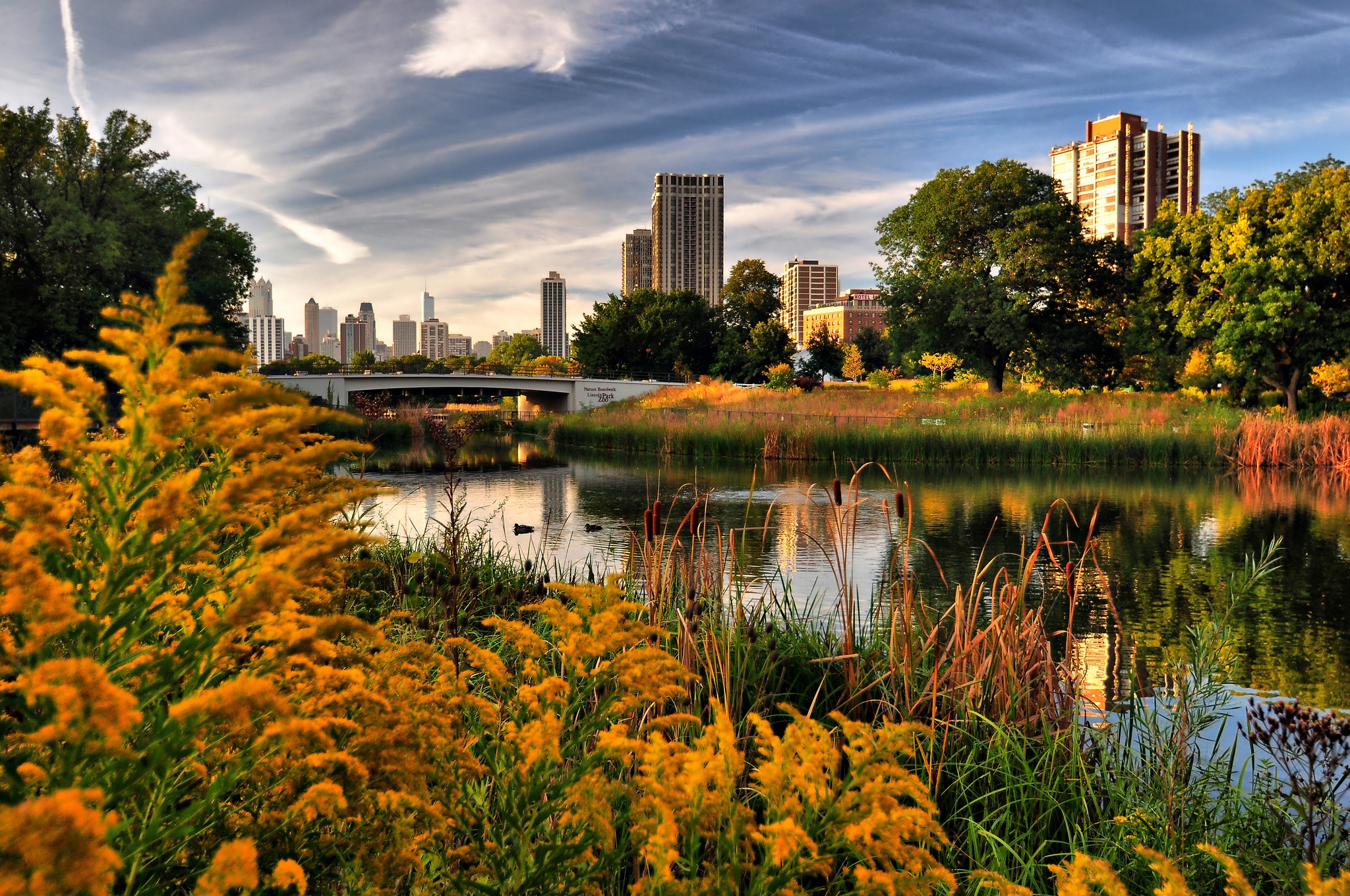 Lincoln Park