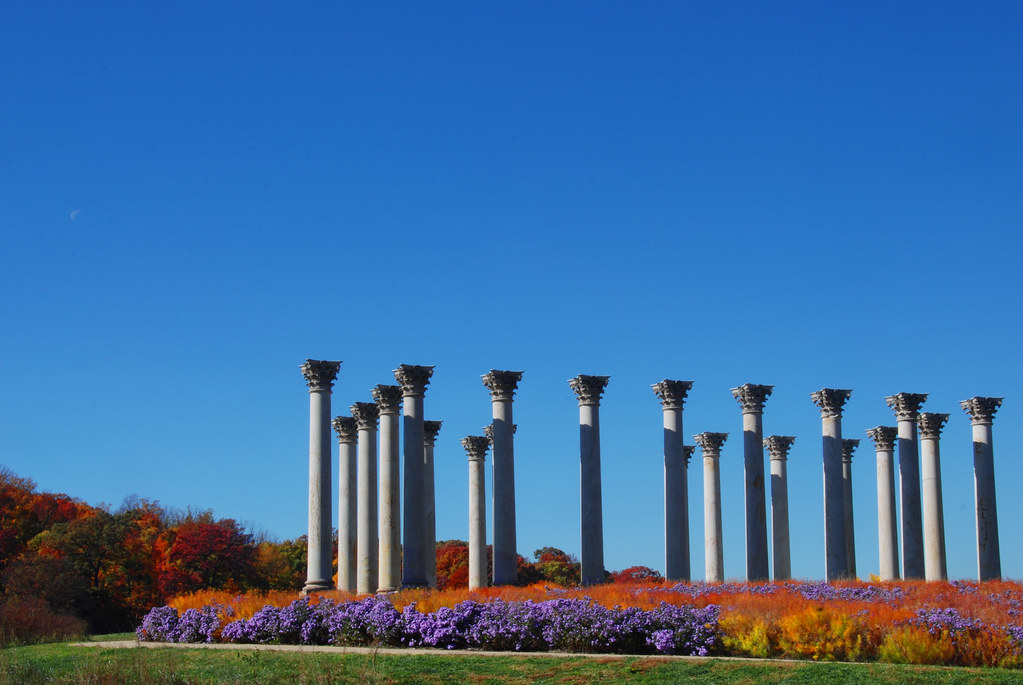 National Capitol Columns