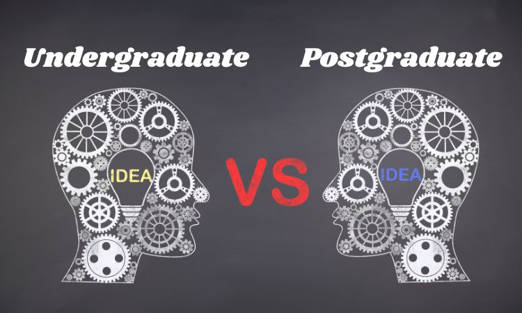 undergraduate-vs-postgraduate