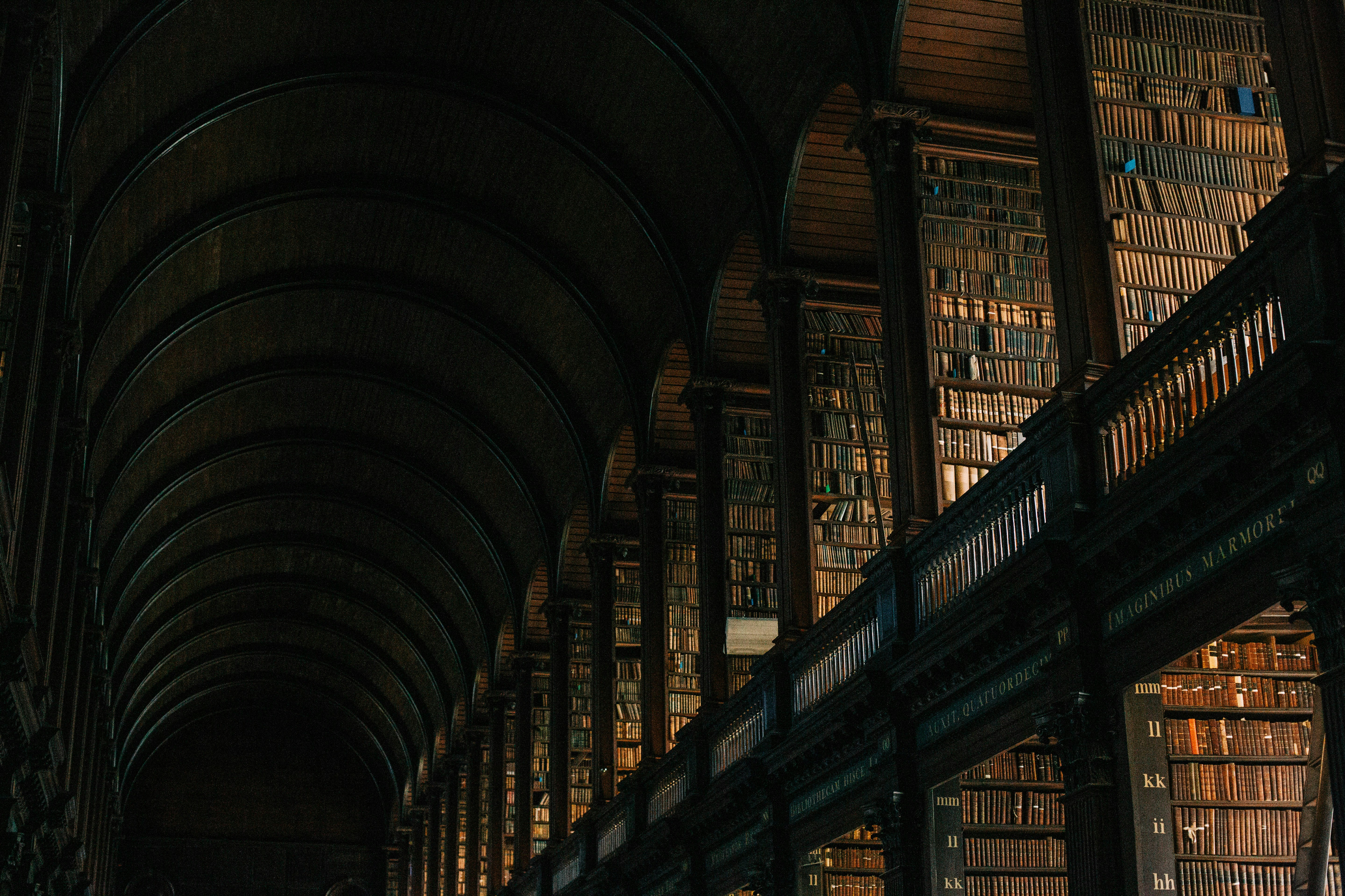 library with many books