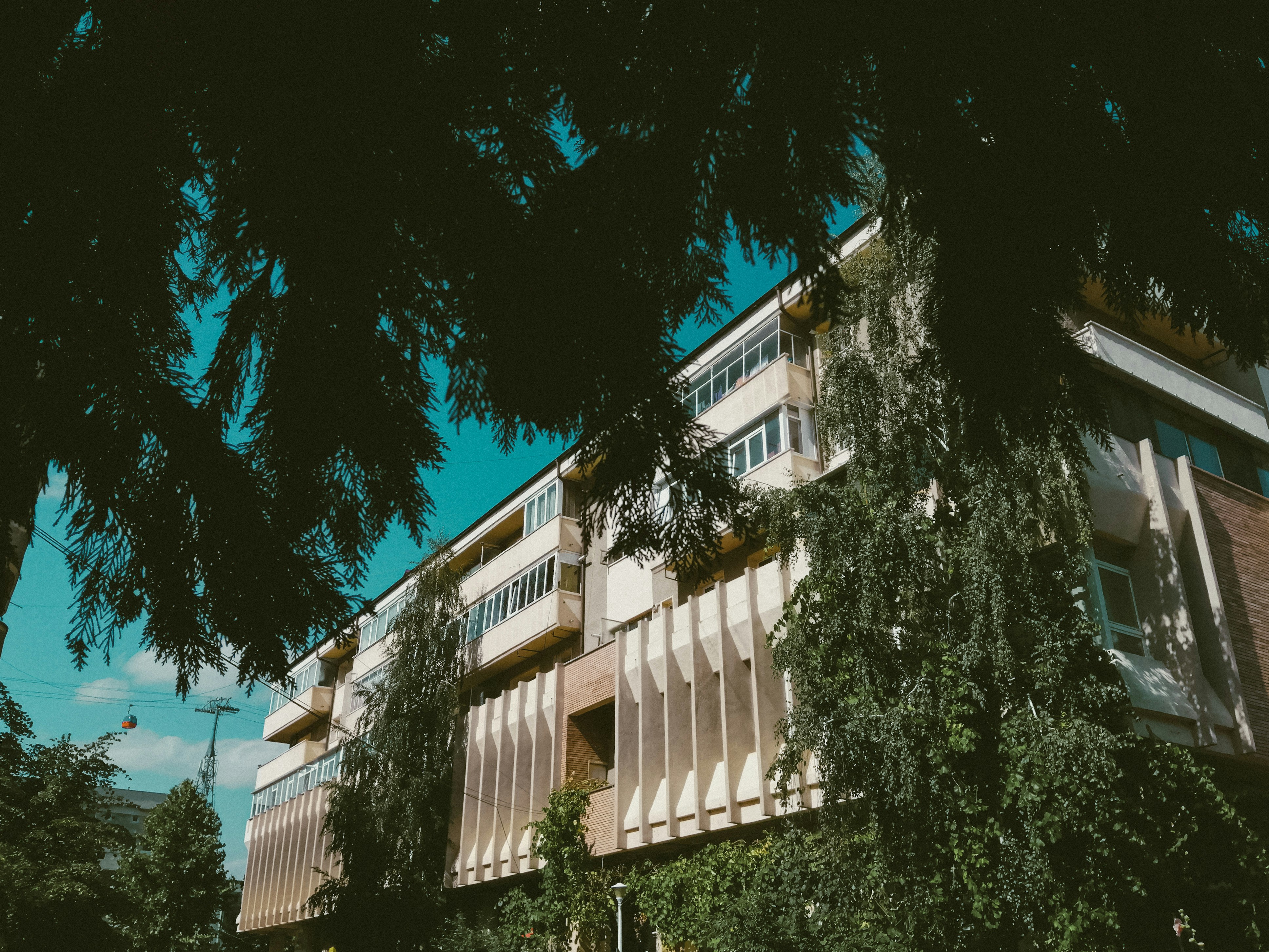 a building with windows and trees