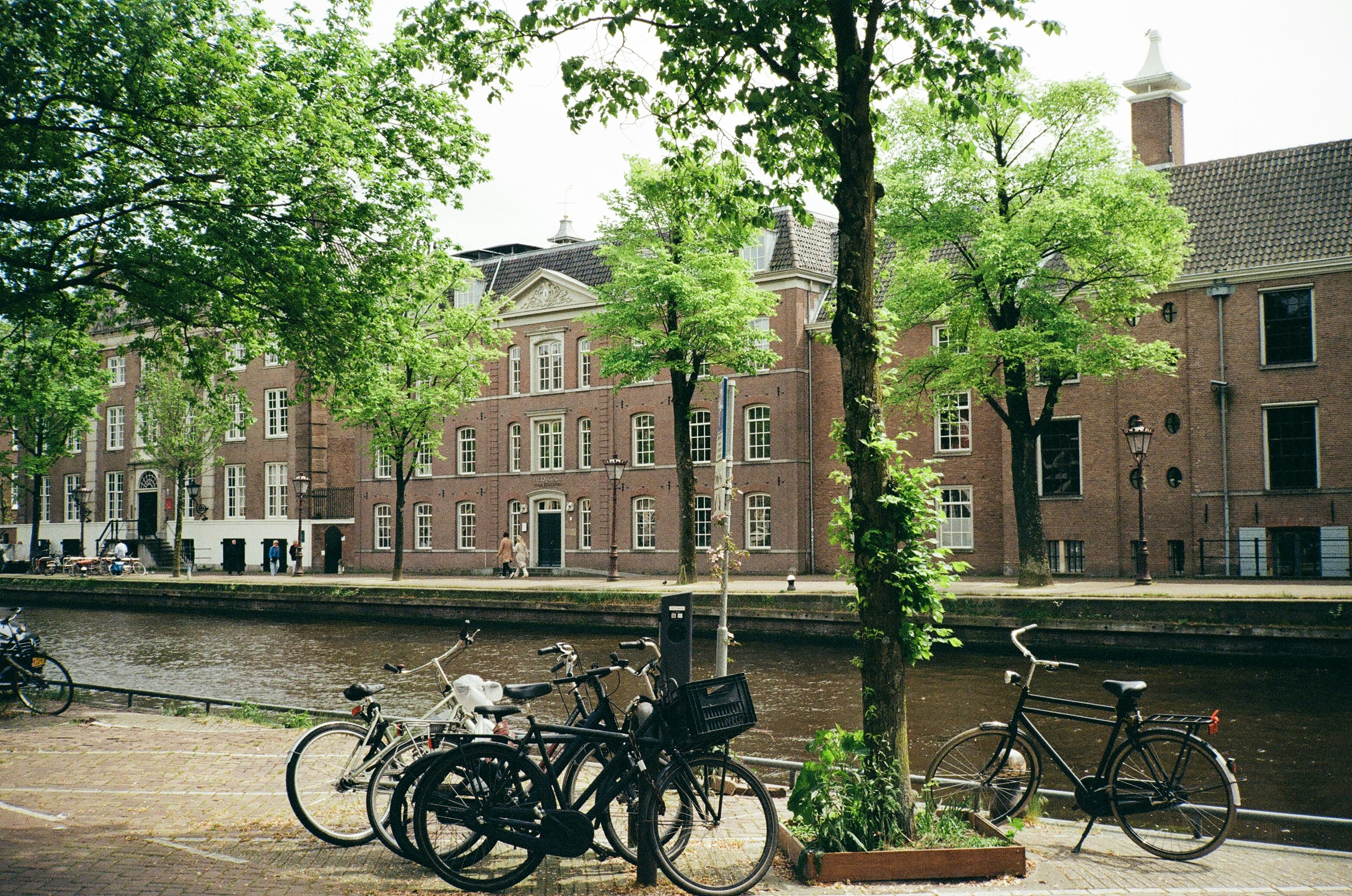 some bikes near the trees