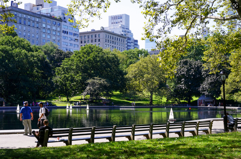 people walking in a park